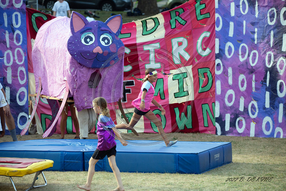 Oddfellows The Children's Circus Goes Viral (233)